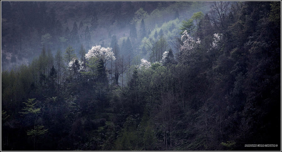 《早春时节》 摄影 大地之光