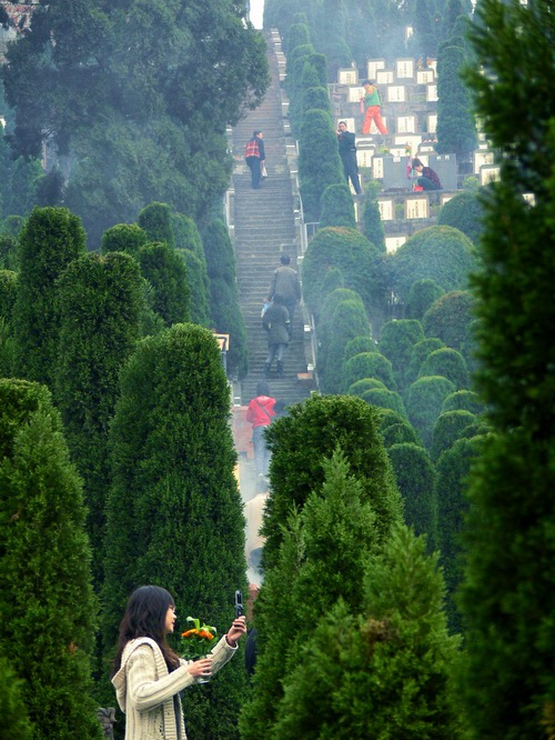 清明祭 摄影 古雒城