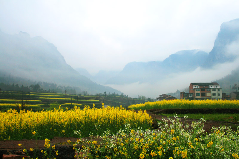 乡村风光 摄影 chau