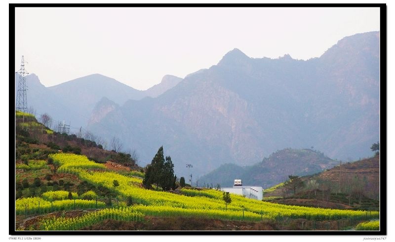 处处皆美景 摄影 闲散的人