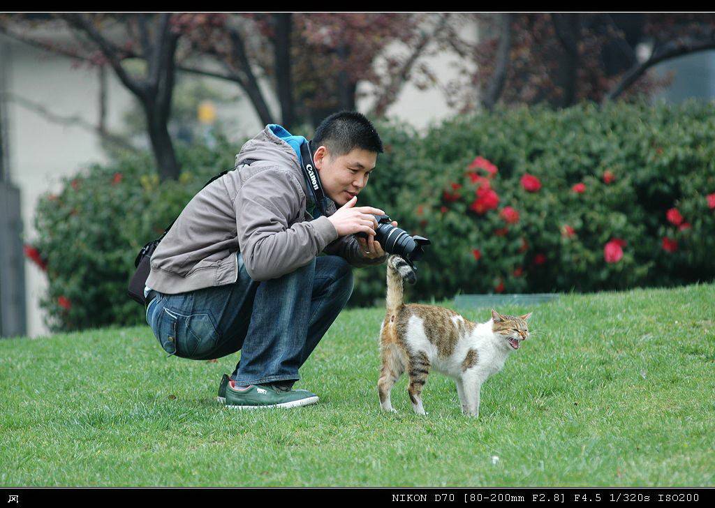 我爱猫咪 摄影 王冈