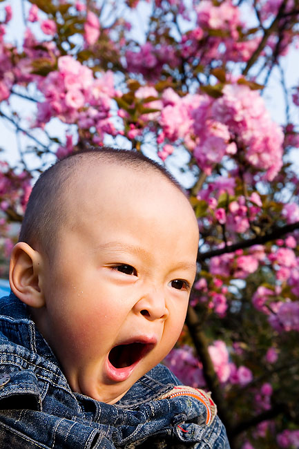 祖国的花朵？ 摄影 小落落