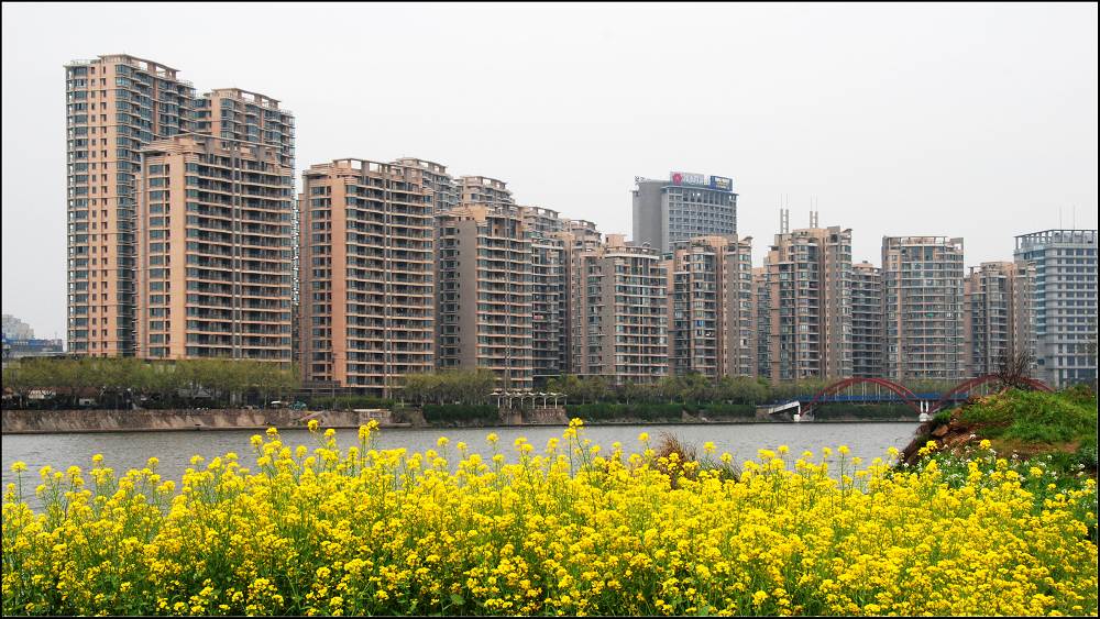 金华风光--婺江两岸 都市田园 摄影 温馨