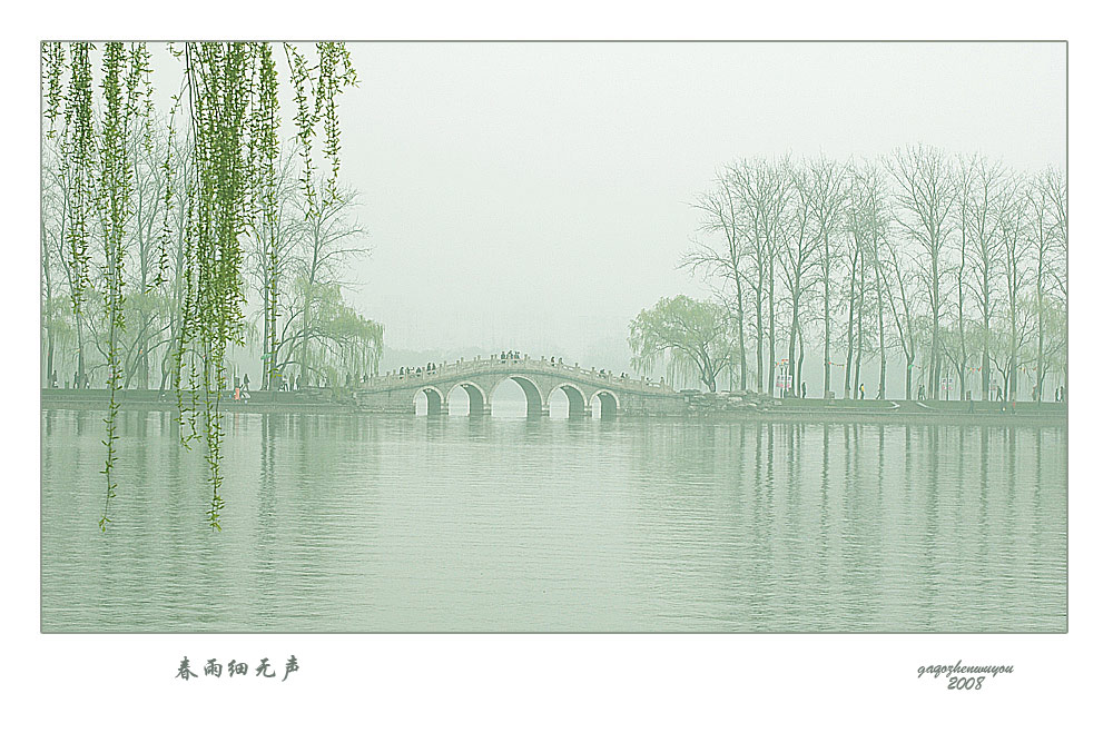 春雨细无声 摄影 高枕无忧