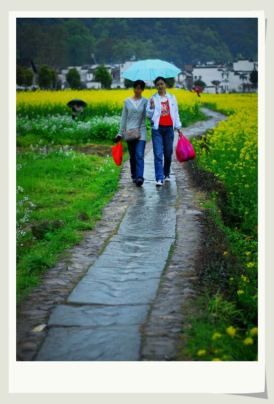 春雨如酥 摄影 干干