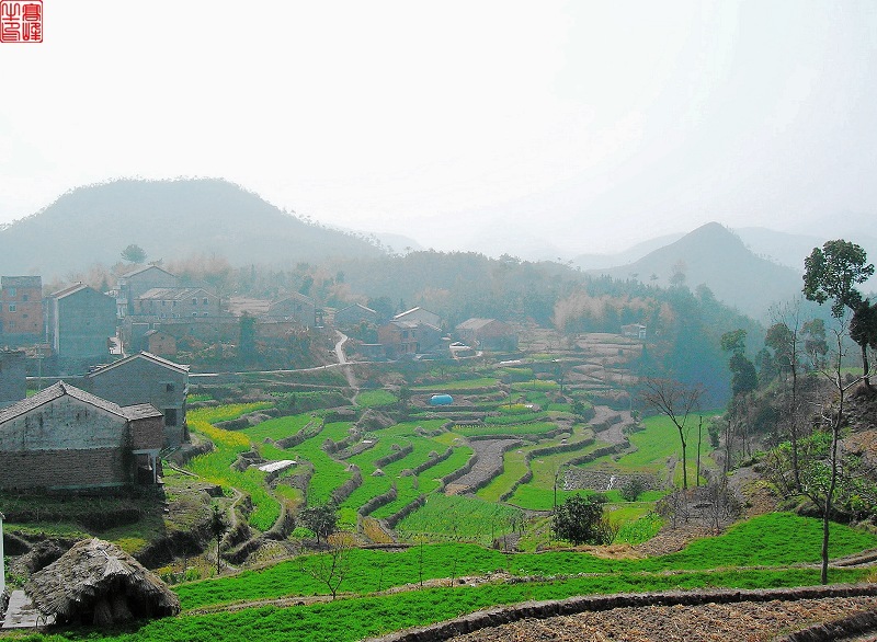 山村春早 摄影 高峰牛