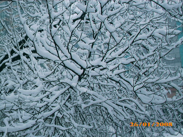 雪 摄影 温柔冰山