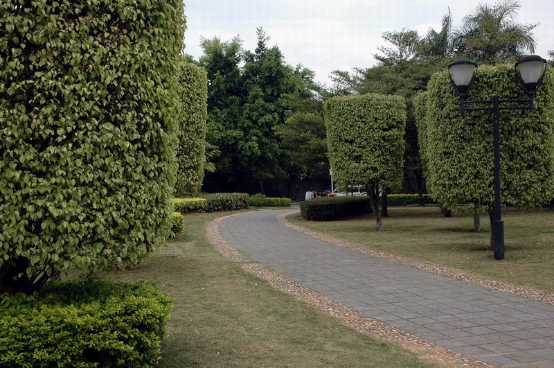 花园城市深圳 摄影 江风山月