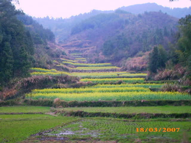 婺源晓起 摄影 温柔冰山