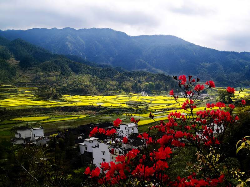 美丽山村1 摄影 冰雪消融