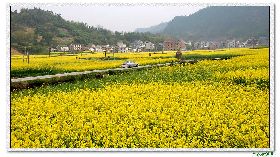 在希望的田野上（2） 摄影 千岛湖