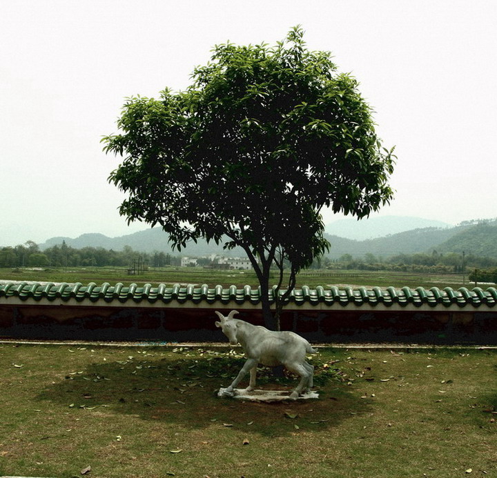 有羊的风景 摄影 超市归来