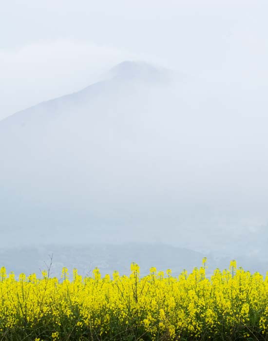 仙人山 摄影 景色