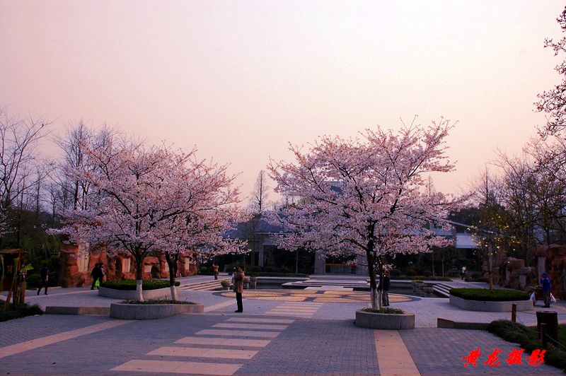 风景 摄影 黄龙