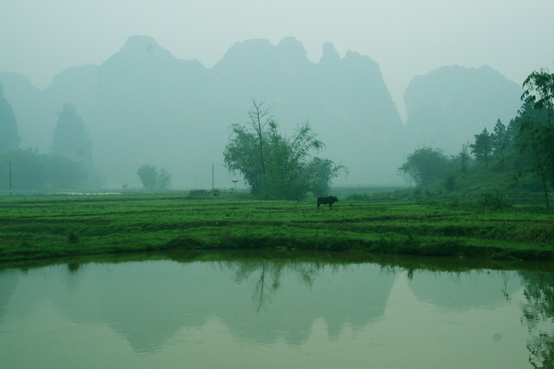 英西的早晨 摄影 shendi