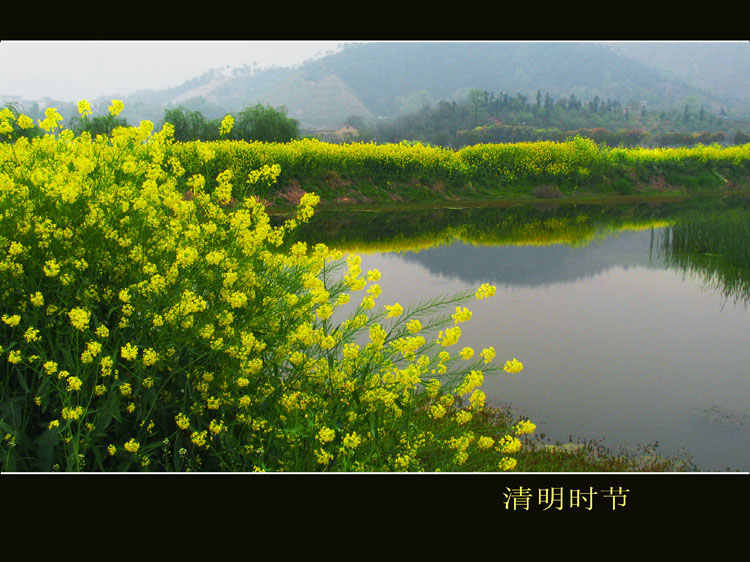 清明时节 摄影 MADI