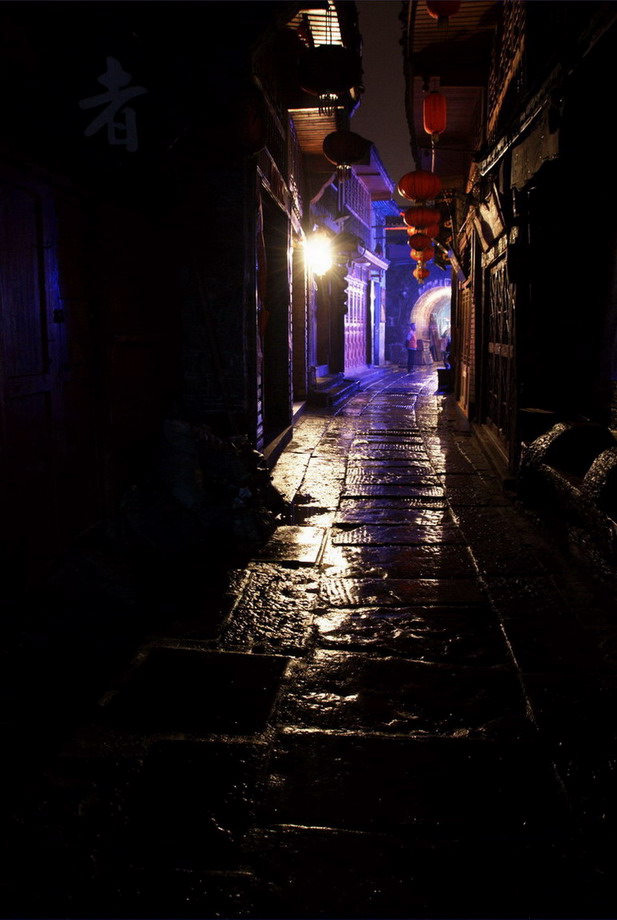 夜 摄影 花开我先知