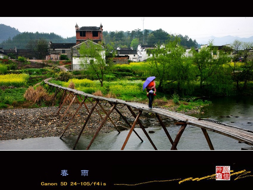 春雨 摄影 广信特首