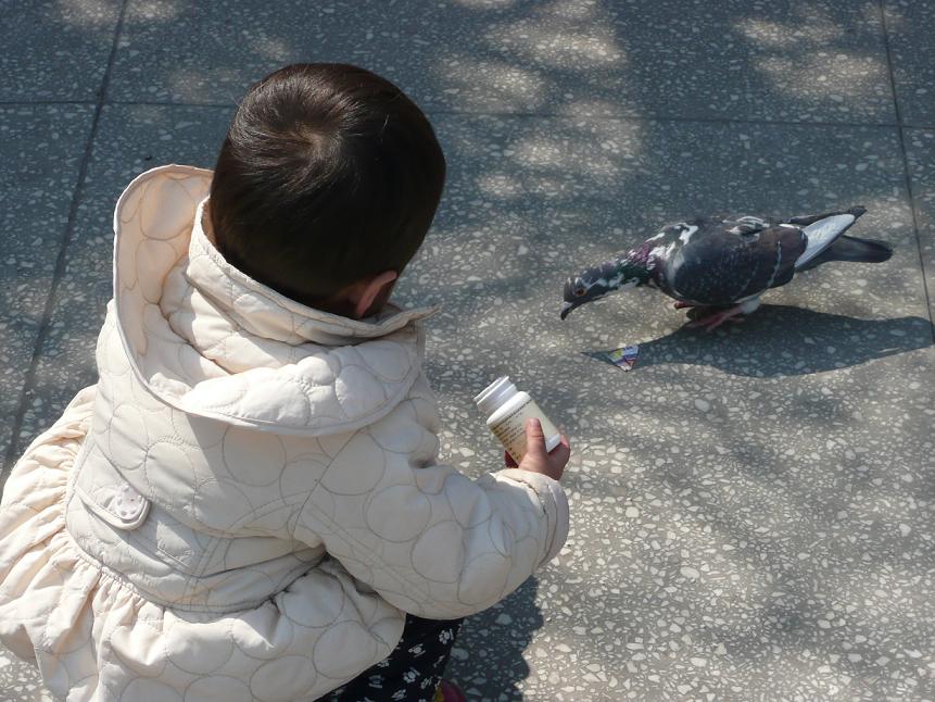 喂食 摄影 pangzhuzhu