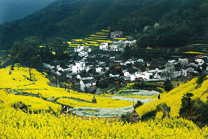 江岭春色 摄影 浪漫