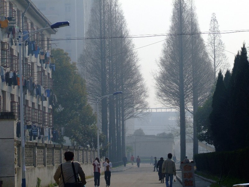 校园的清晨－南理工 摄影 地瓜飘香