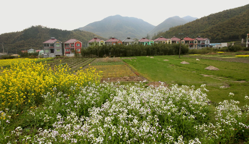 山区新农村 摄影 mglao