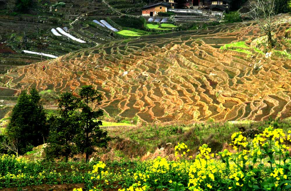 春满山乡 摄影 追光