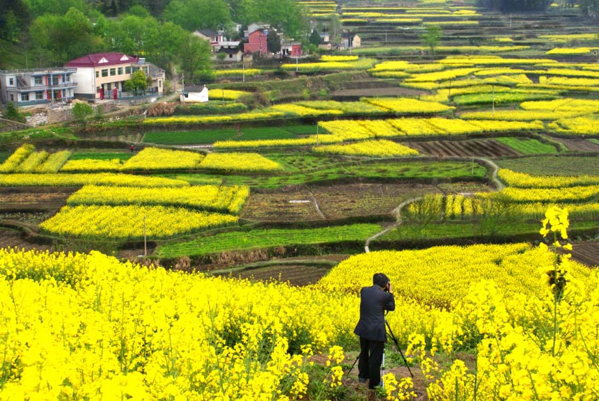 家乡美景入画来 摄影 龙池山水