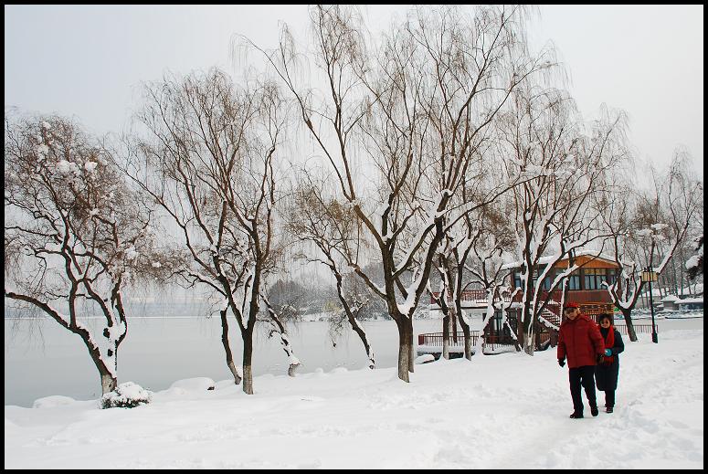 踏雪寻梅 摄影 七月流星