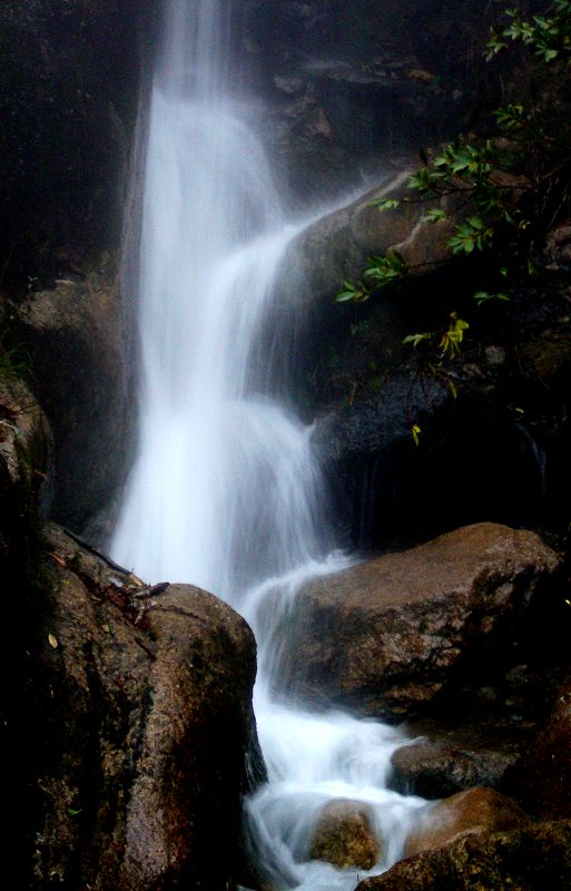 山间溪水 摄影 天涯漫步