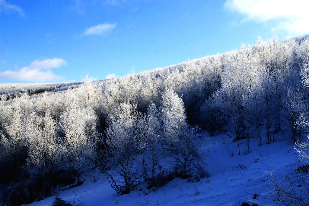 雪线之上 摄影 大漠山水