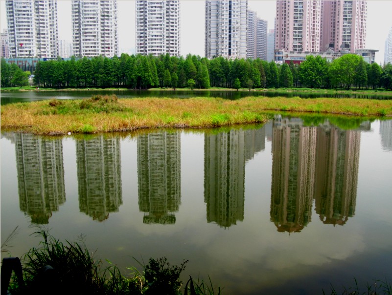 水中的颜 摄影 地王大厦