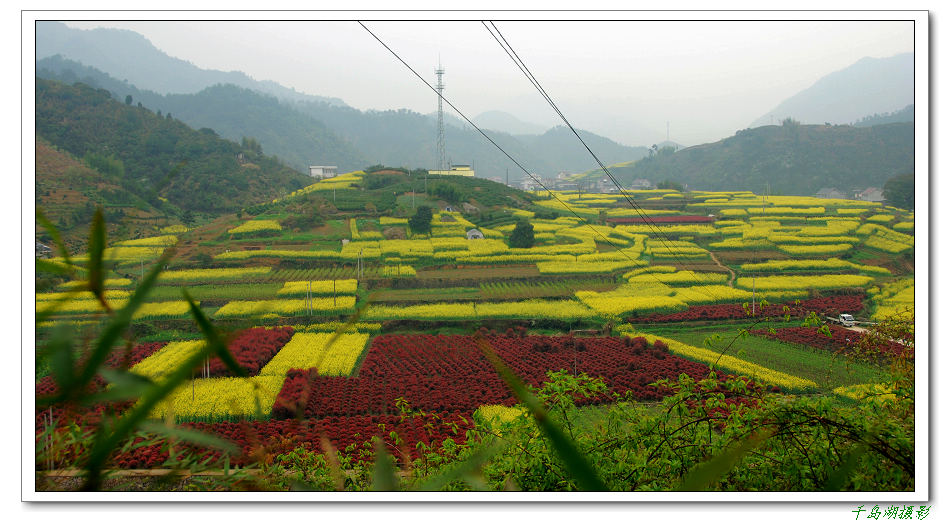 锦绣大地(2) 摄影 千岛湖