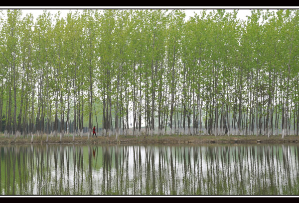 倩影 摄影 湖上风景