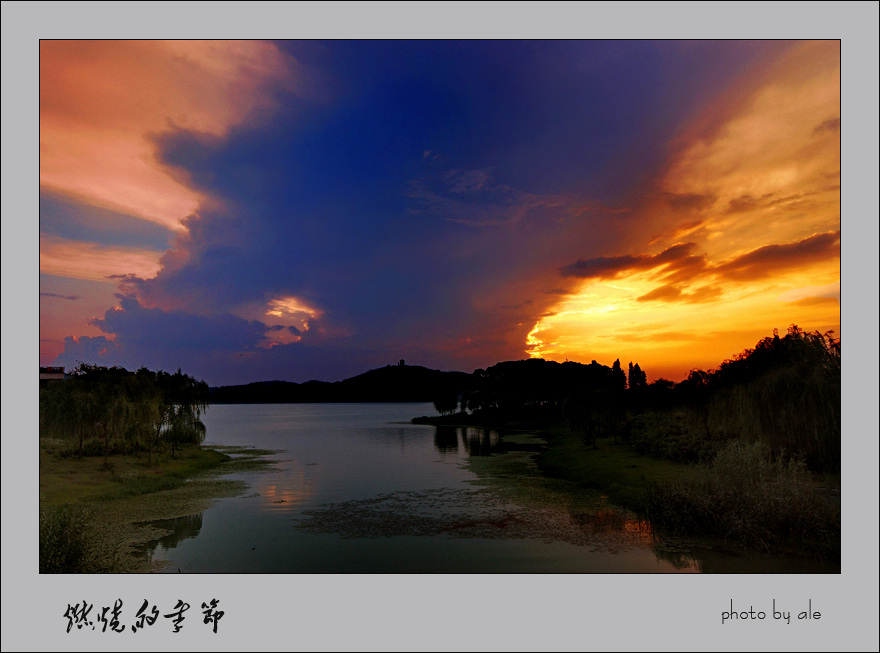 燃烧的季节——无锡景(113) 摄影 阿乐