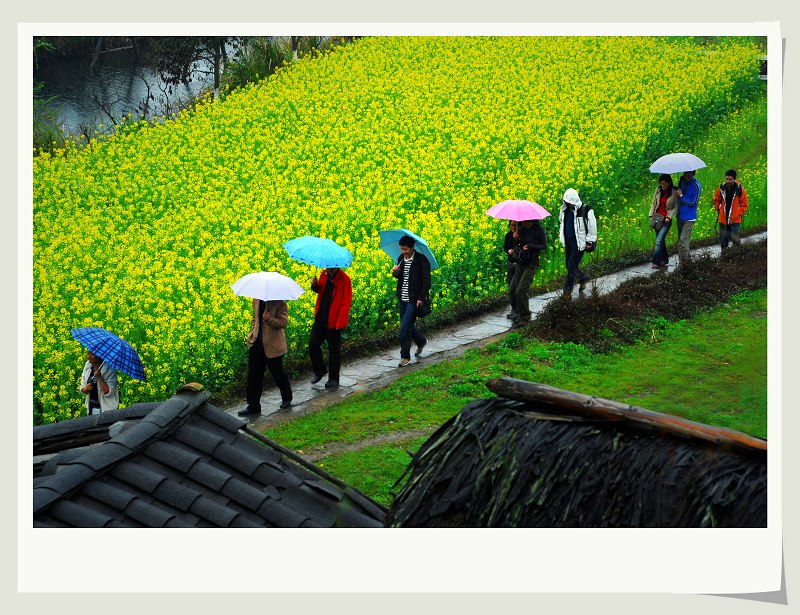 江南雨 摄影 干干