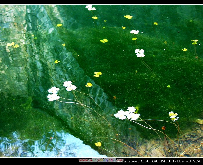 水中景 摄影 紫冀