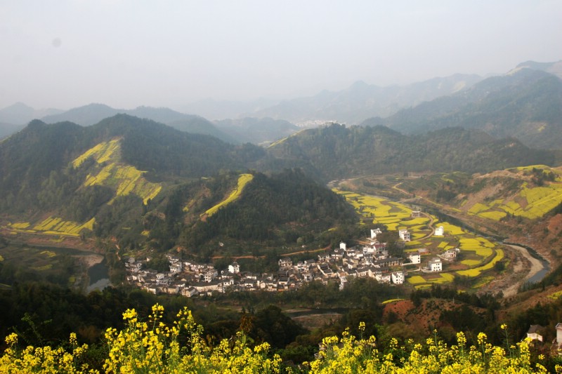 花飘山谷  1 摄影 鹿山老人