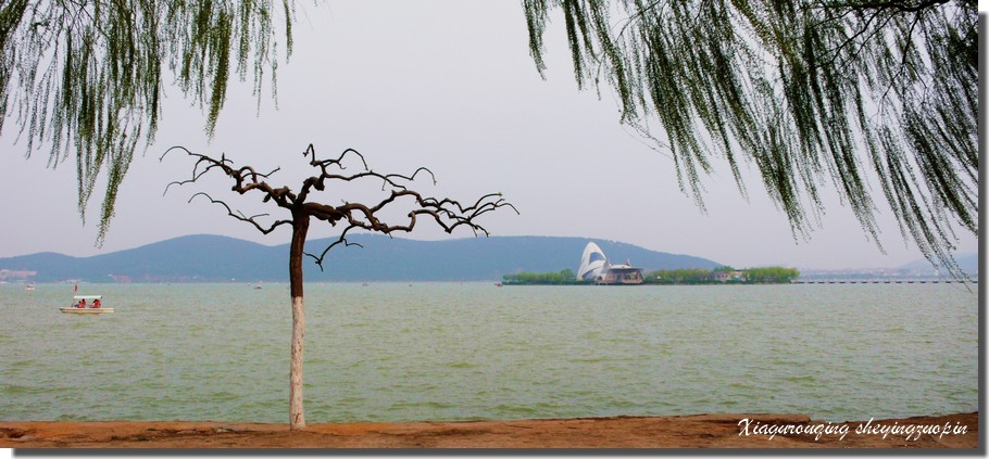 湖滨小景 摄影 侠骨-柔情