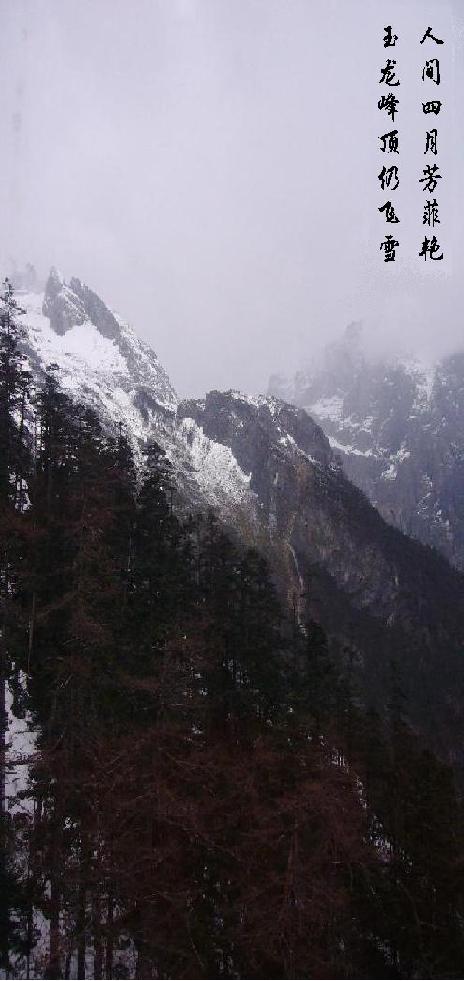 玉龙飞雪图 摄影 青山碧水