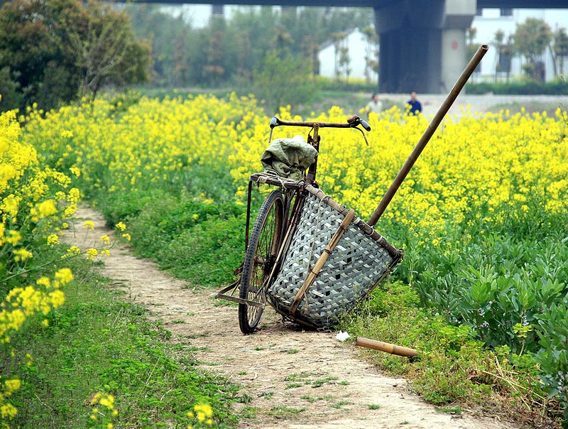 走过外婆家之一 摄影 干草久久