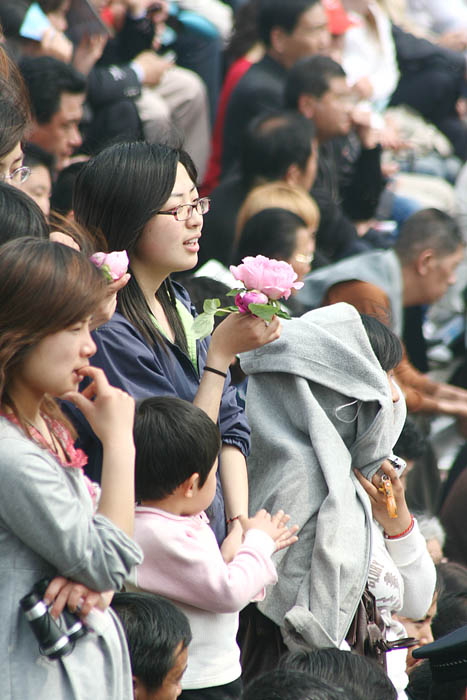 小花 摄影 枫林晚唱