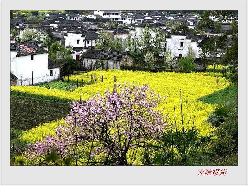 醉美乡村1 摄影 雨过天晴