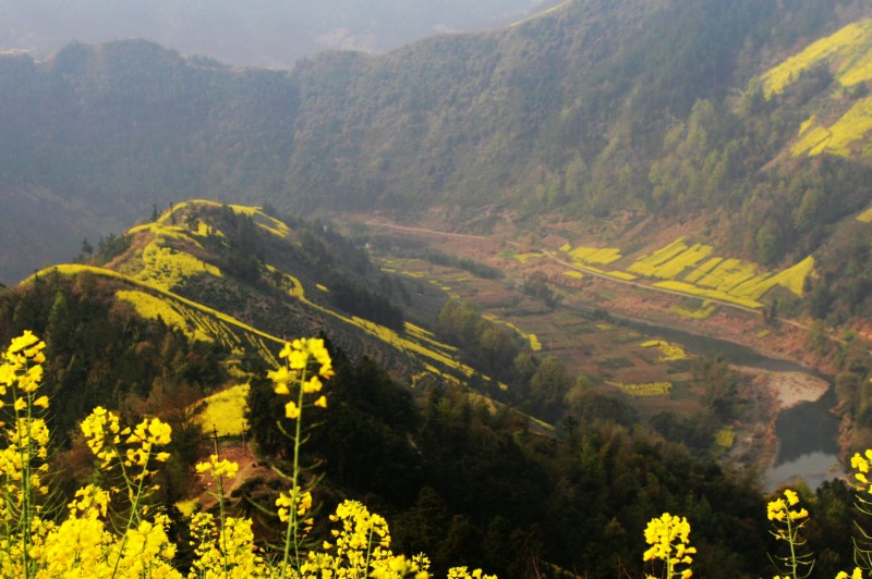 花漫山岗----石潭2 摄影 鹿山老人