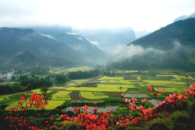 田园乡村 摄影 chau