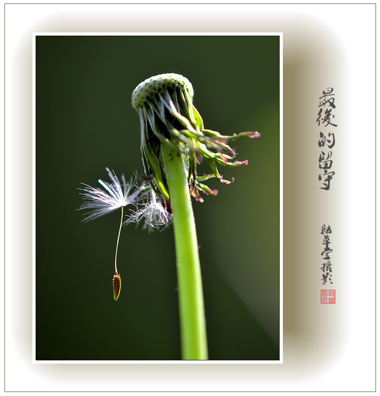 最后的留守 摄影 结草堂