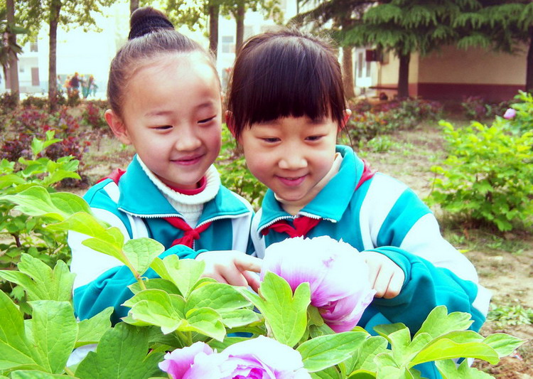 美丽的校园 美丽的花朵 摄影 林海子