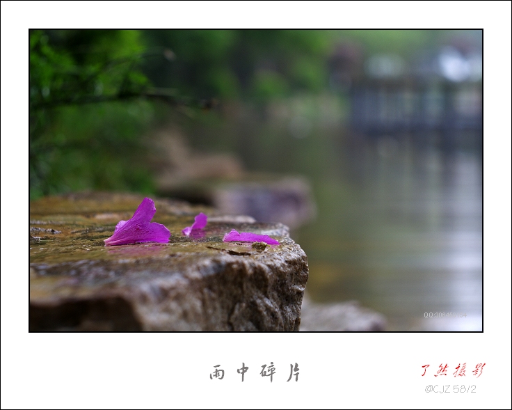 ++雨中碎片（解放公园）++ 摄影 Rowater