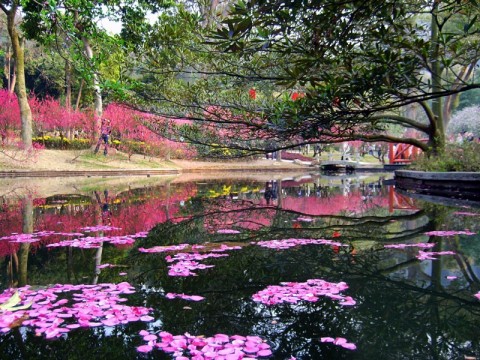 桃花涧 摄影 明海谢