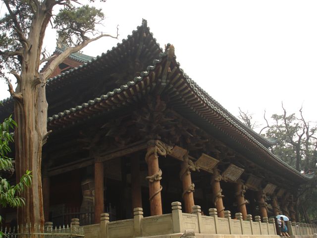 山西晋祠 摄影 Laotaitai